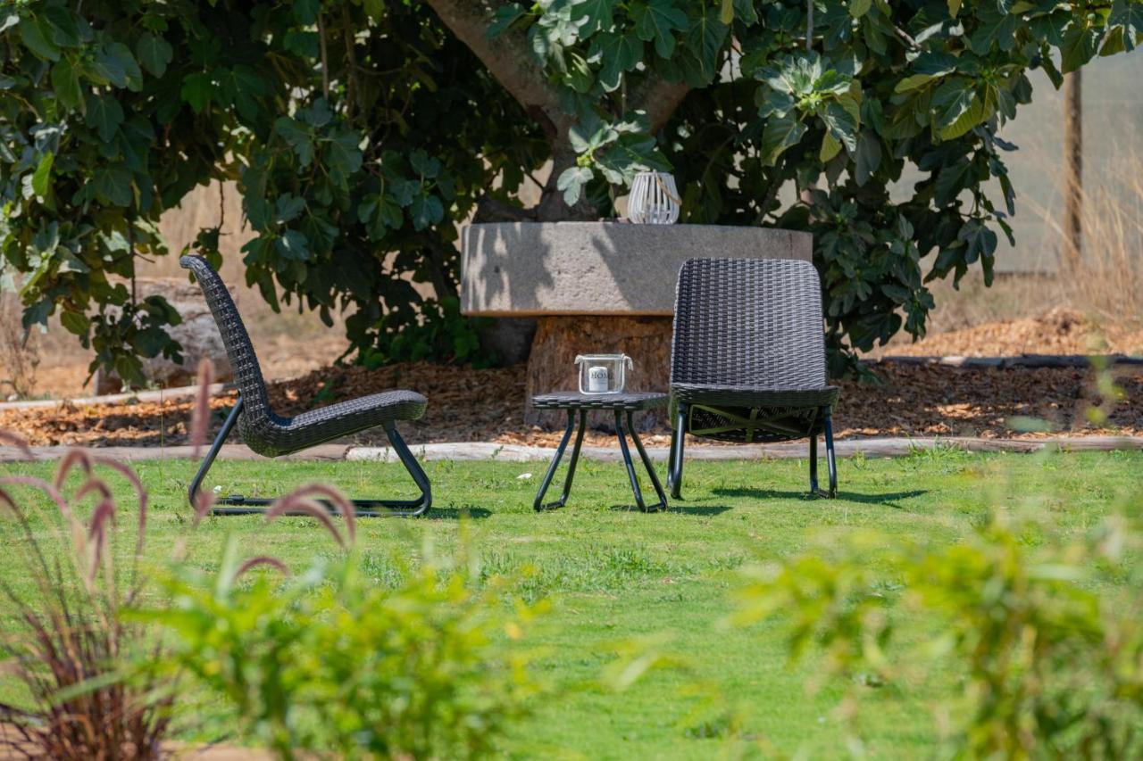 Casas Da Bica - Turismo Espaco Rural Cercal do Alentejo Экстерьер фото